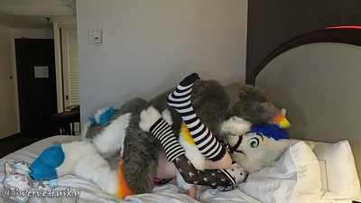 Swerve Breeds Cheerleader at FU