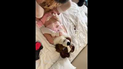 Floppy ear puppy princess bred by fox @TailLicker @pupzooki