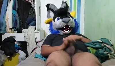 Adheres More Murrsuit Monday