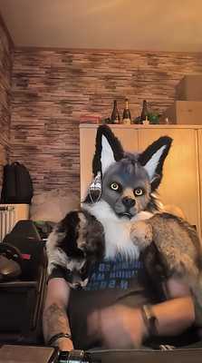 Horny fox times