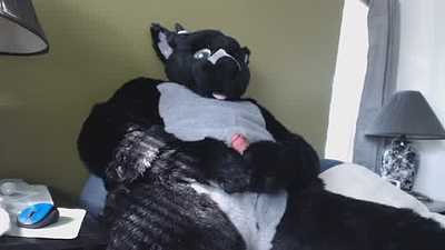An OtterDragon Pawing