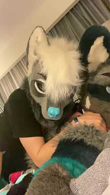 Breeding Wolves