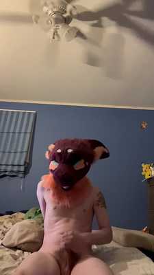 Manokit being playful