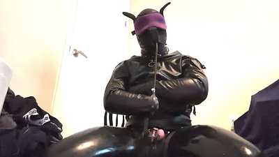 Dumb Dog Torture!