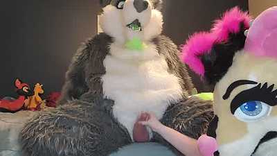 Deacon the Wolf and Viper's Helping Paws