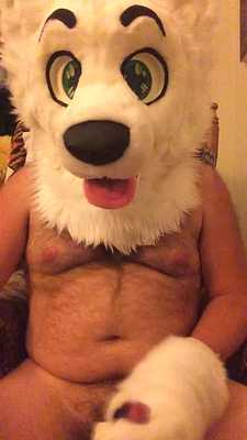 Sammy spear