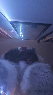 Part 2 fool jerk off