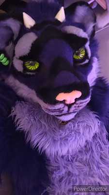 Phone test 1: bed time