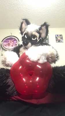 Balloon Vibrations
