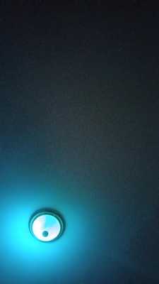 YinPawDoggo 🐶 And his hubby Pawlo Fox 🦊- 💕 Mate to the plats