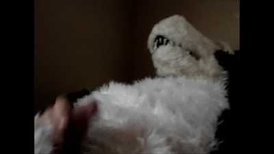 Chaz Wolf suit pawing