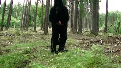 Lycan in wood 02