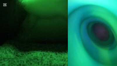 Having fun with my Silver the Naughty Sergal toy - Inside view