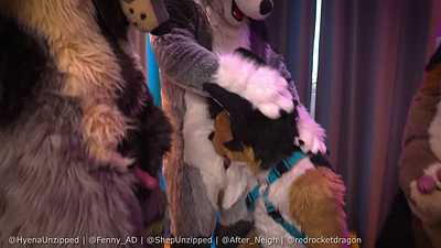 NFC Muzzle Service