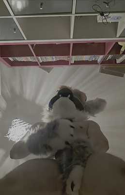 Pawing off to you🐾