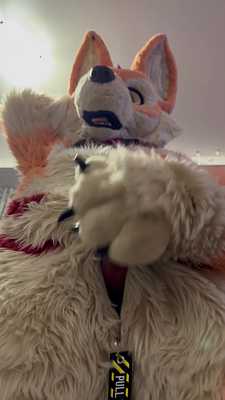 Muzo fox cumming on the camera