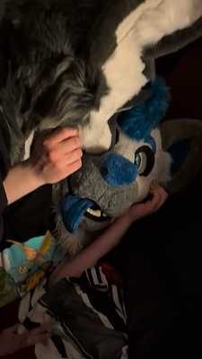 A jackal and hyena having some fun