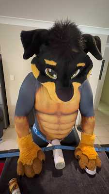 Thick AF Rottie wrecking his Max 2 toy.