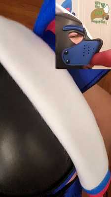 Pix the Sylveon's Murrtube Debut