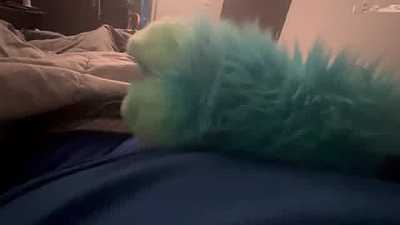 Pawing off with my new paws