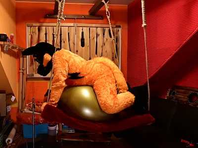 Orange Wolf breeding a SHOSU SPH ball