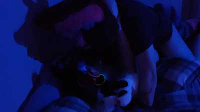 Fox and Wusky Breeds