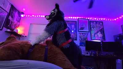 Ryne The Living Bear Plushie