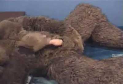 Marcwolf on Bed