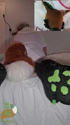 Nurse Vir Gives You a Helping Paw~