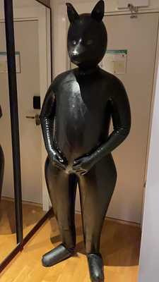 Silicon suit at NordicFuzzCon