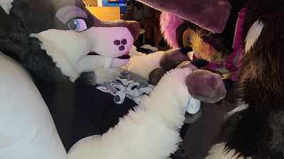 Kamira gets his puppy hole filled by a coyote in threesome! Pt 1 