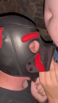 pup gets nice treat in tunnel