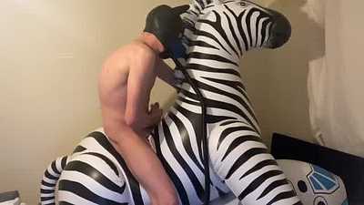 Inflatable zebra hump and puff