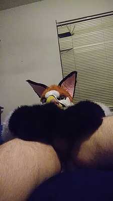 Playful gryphon paws