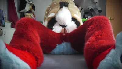 Tied A Bunny To My Bed