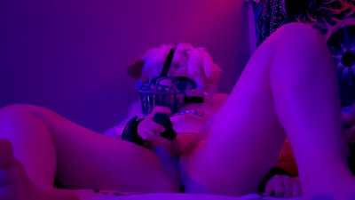 cute pink puppy gets licked until he cums 