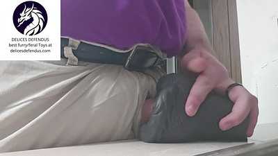 Filling Loona (Toy) on the Counter