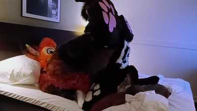 Fox and a hound part 2