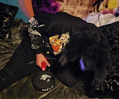 Kitty makes you some breakfast