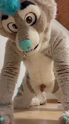 The Husky pees on the parquet floor :O