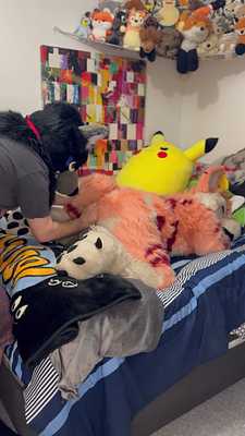 That fox toy taking that toy like a good boy🦴🦊