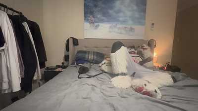 Husky gets milked and toys