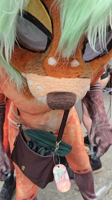 Stephie and Doubleofox breed in the street