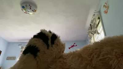 Tracy Fucks Nick Noc Plushie