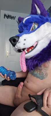 Apollo uses his favorite toy again~