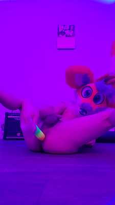 Thick fox discovers rainbow dildo, explores fox hole