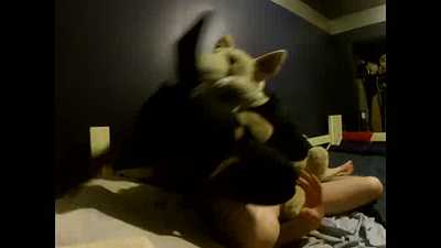 A pup and a plushies #3