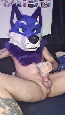 Apollo tests his new toy😏