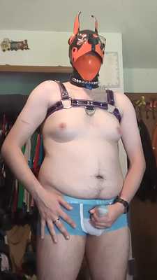 Trillis strips