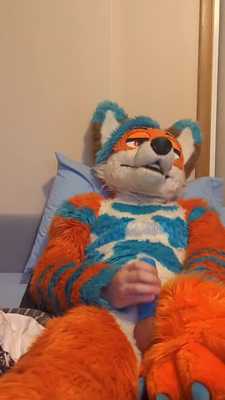 Rave Fox makes a mess